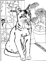 coloriage chats se regardant a travers les vitres